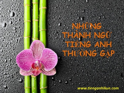 chủ đề 195: thành ngữ trong tiếng Anh