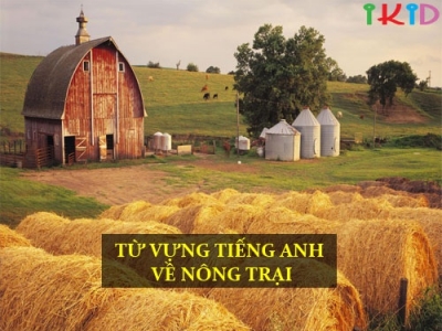 CHỦ ĐỀ 173: TỪ VỰNG TIẾNG ANH VỀ NÔNG TRẠI